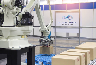 Robot Palletizer 